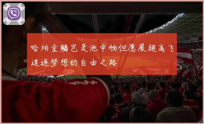 哈珀金鳞岂是池中物但愿展翅高飞追逐梦想的自由之路