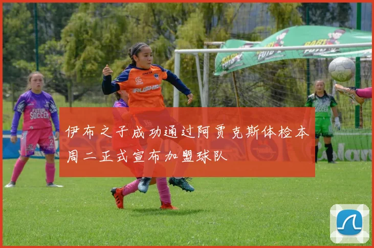 伊布之子成功通过阿贾克斯体检本周二正式宣布加盟球队